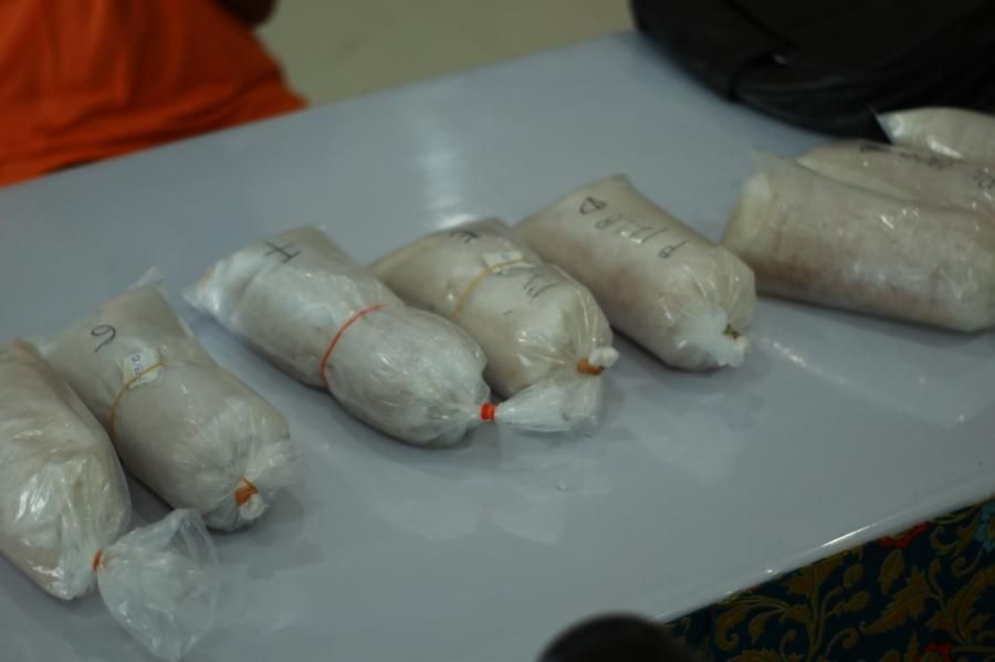 podiumnews.com-Penyelundupan Benih Lobster Rp 1,5 Miliar Lewat Bandara Digagalkan