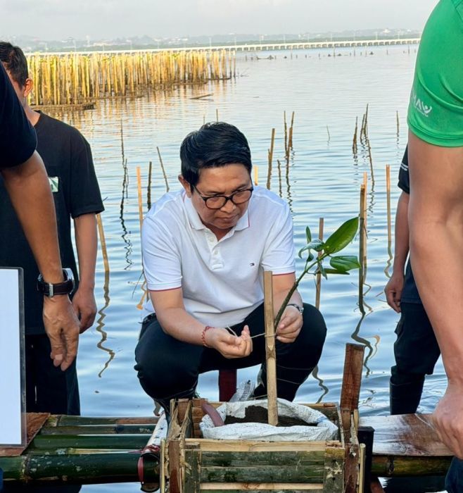 Bupati Badung I Wayan Adi Arnawa saat menghadiri penanaman mangrove di Tahura Ngurah Rai. (foto/sukadana)
