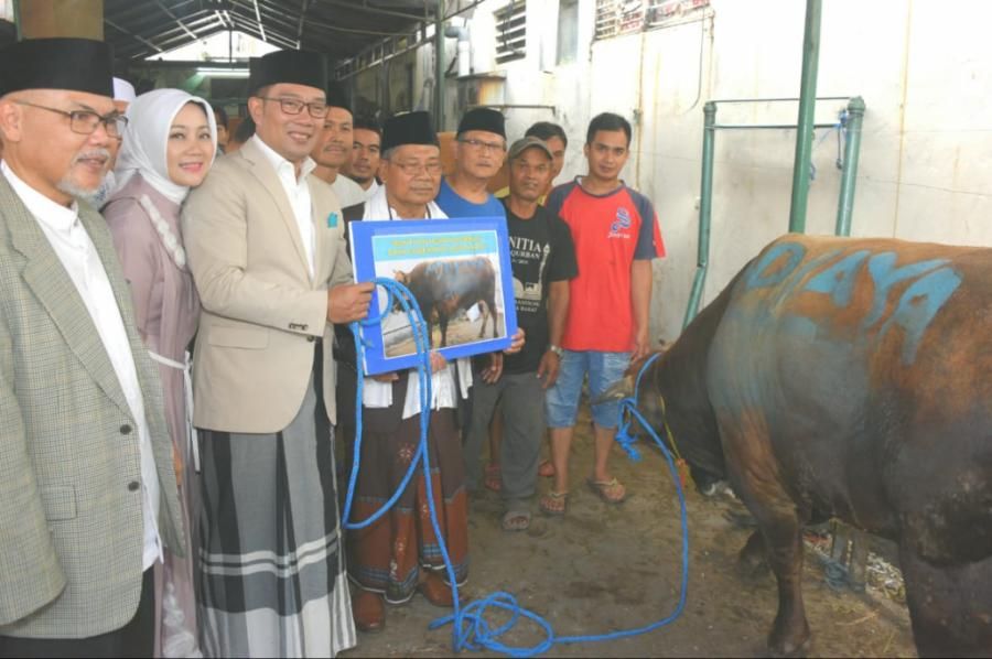 podiumnews.com-Kang Emil Imbau Pembagian Daging Kurban Tak Gunakan Kantong Plastik