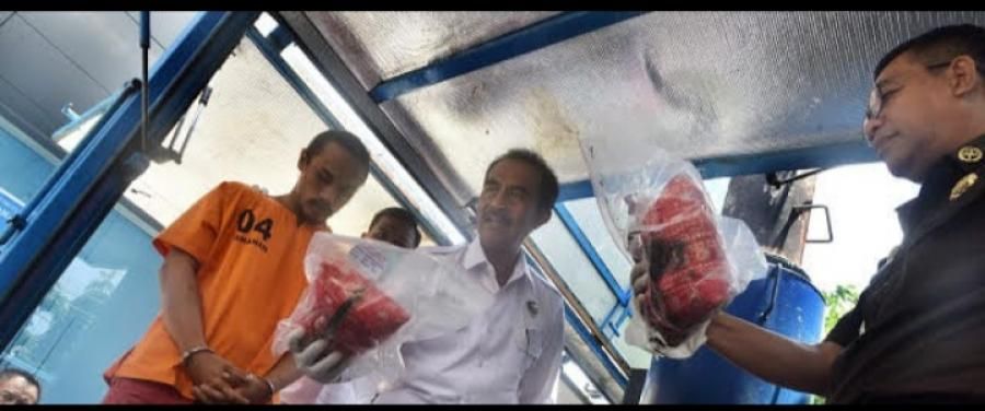 podiumnews.com-BNNP Bali Musnahkan 28,5 Kilo Ganja Tangkapan Jaringan Medan