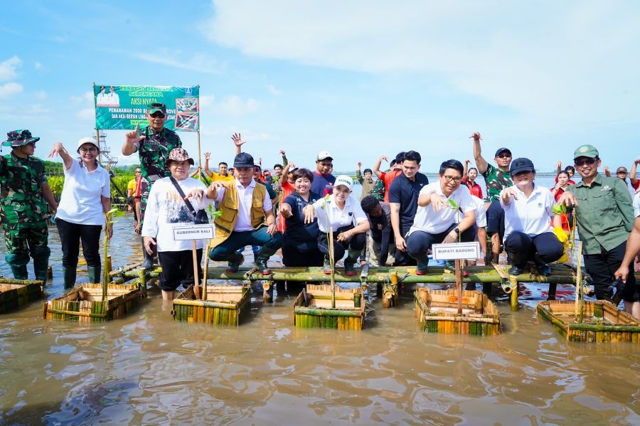 Bupati Badung I Wayan Adi Arnawa saat memimpin aksi penanaman mangrove dan bersih sampah di Pantai Telaga Waja, Tanjung Benoa, Minggu (30/11/2025). (foto/adi)