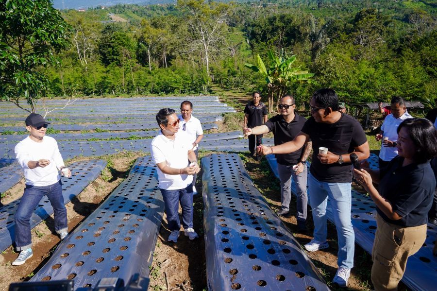 podiumnews.com-Bupati Badung Genjot Potensi Kopi di Agro Techno Park Petang