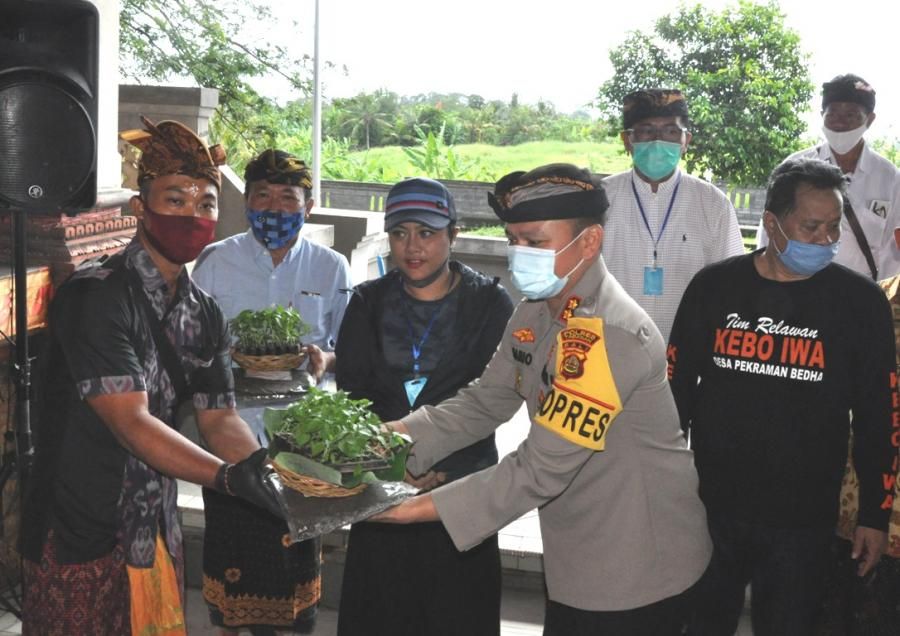 podiumnews.com-Bupati Eka Bagikan 1 Ton Beras dan 133 Ribu Bibit Cabai ke Masyarakat