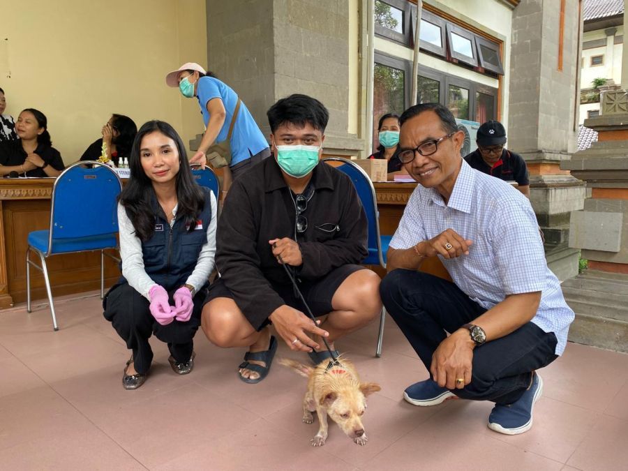 podiumnews.com-Disperpa Badung Gelar Sterilisasi Gratis Serangkaian HUT ke-16 Mangupura