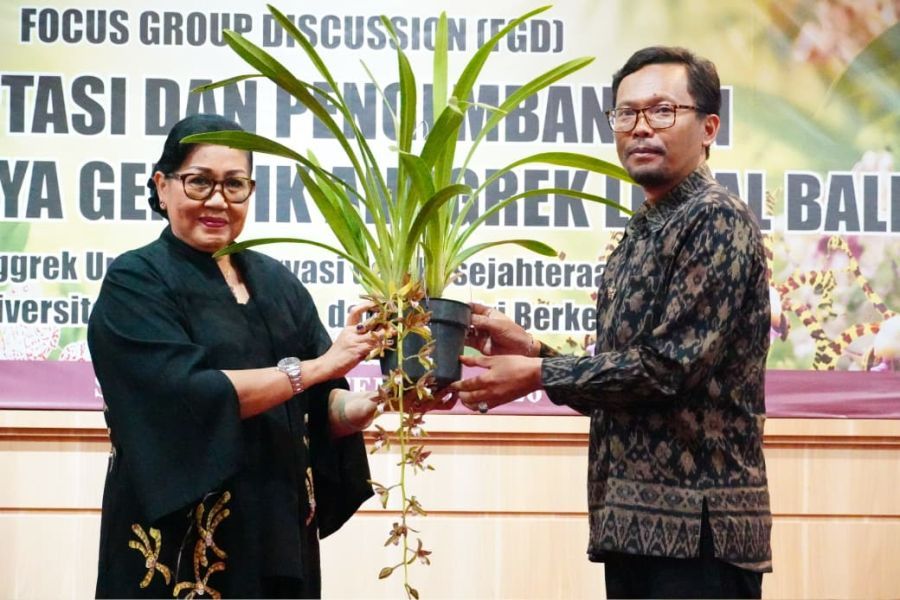 Ketua DPD Persatuan Anggrek Indonesia (PAI) Bali, Ibu Putri Koster, menjadi keynote speaker dalam FGD Adaptasi dan Pengembangan Sumber Daya Genetik Anggrek Lokal Bali yang berlangsung di Aula Gedung Pascasarjana Universitas Udayana, Denpasar, Bali, Selasa (8/9/2026). (foto/sukadana)