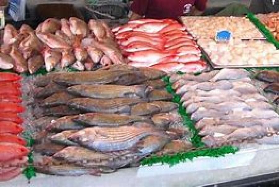 Bali Kekurangan Pasokan Ikan untuk Dikonsumsi