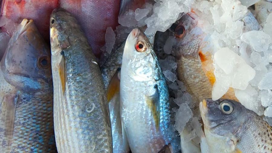 podiumnews.com-Pandemi, Kualitas dan Logistik Komoditas Pangan Tetap Harus Terjaga