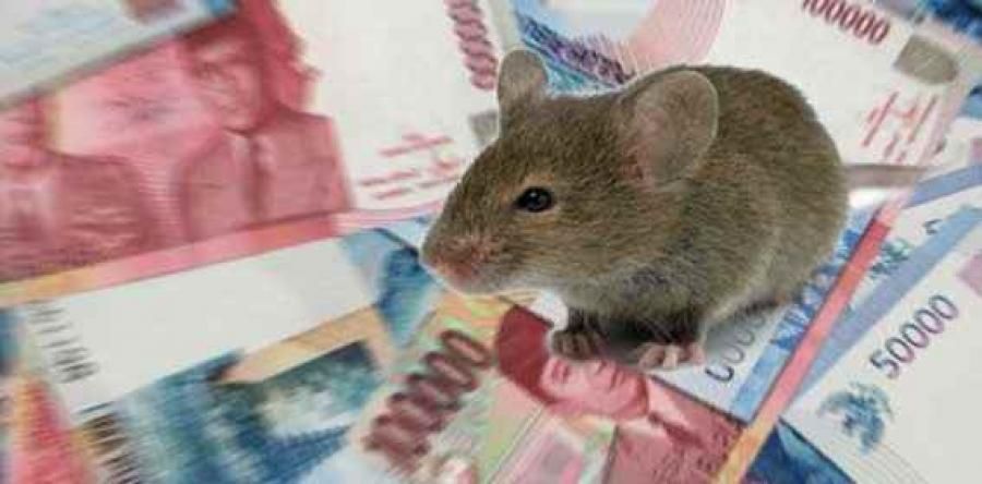 podiumnews.com-KPK Tangkap Dua DPO NHD dan RHE, Dugaan Suap Perkara di MA