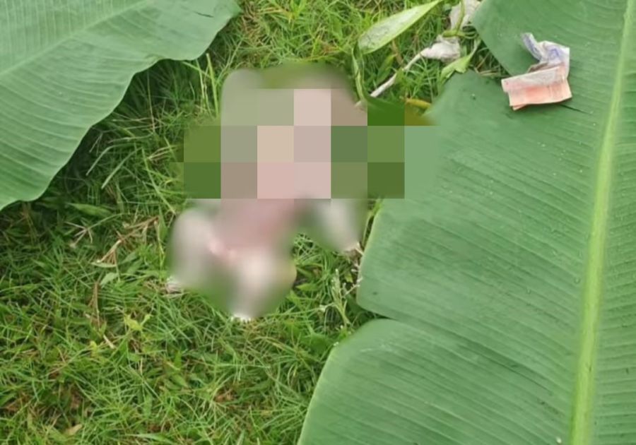 Jasad bayi yang ditemukan terdampar di pinggir sungai Taman Pancing Timur, Denpasar Selatan, Denpasar, Bali, Selasa (4/11/2025) sore. (foto/hes)