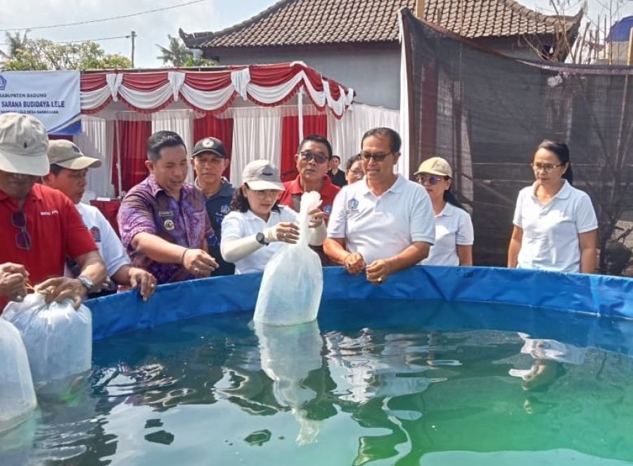 Ketua TP. PKK Badung, Nyonya Rasniathi Adi Arnawa saat menyerahkan bantuan sarana budidaya ikan lele kepada Kelompok Pembudidaya Ikan Mina Utama di Banjar Menesa, Desa Darmasaba, Kecamatan Abiansemal, Badung, Bali, Selasa (20/10/2026). (foto/adi)