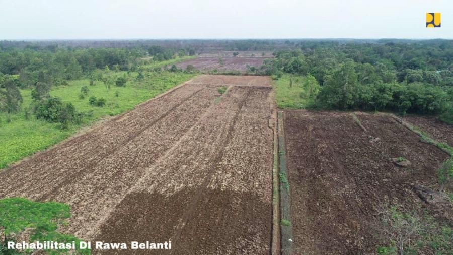 podiumnews.com-Pemerintah Target Produksi 165.000 Hektare Lahan Pangan di Kalteng