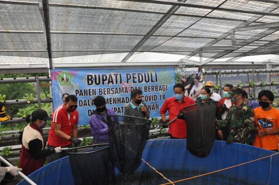 podiumnews.com-Bantu Peternak, Bupati Eka dan OPD Borong Panen Lele