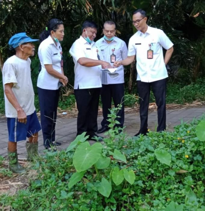 podiumnews.com-Pemkab Badung Siapkan Lokasi Penguburan Babi
