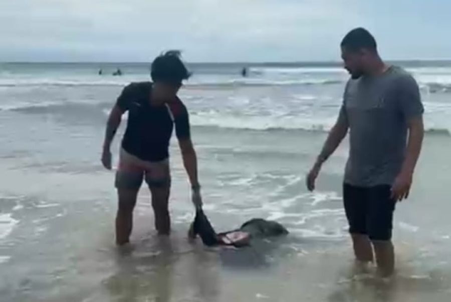 Petugas mengevakuasi mayat Rizka Venita Sevtiani, wanita yang mengapung di perairan Pantai Kuta, Badung, Bali, Selasa (2/12/2025) lalu. (foto/hes)