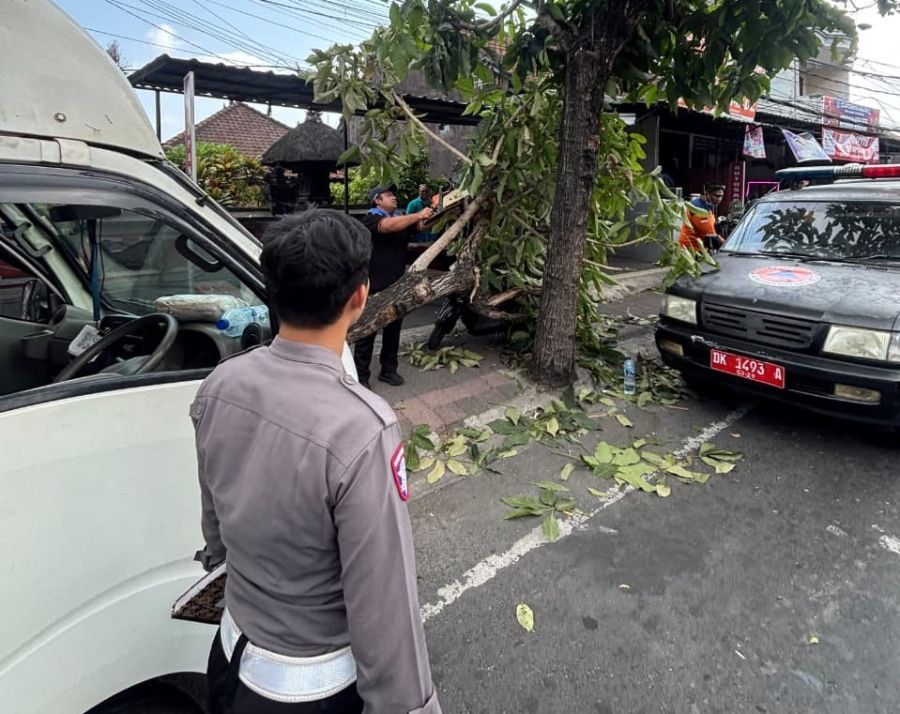 Kecelakaan lalu lintas yang menewaskan sopir mobil boks di Jalan Raya Denpasar-Gilimanuk, Banjar Sebita, Desa Sempidi, Kecamatan Mengwi, Badung, Bali, Selasa (20/10/2026). (foto/hes)