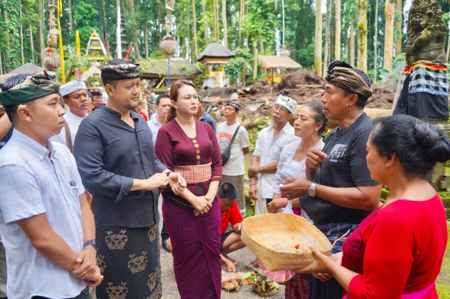 Wabup Badung Bagus Alit Sucipta didampingi Ketua WHDI Badung Yunita Alit Sucipta meninjau langsung lokasi bencana pohon tumbang di kawasan Daya Tarik Wisata (DTW) Alas Pala Sangeh, Abiansemal, Badung, Bali, Kamis (4/12/2025). (foto/adi)