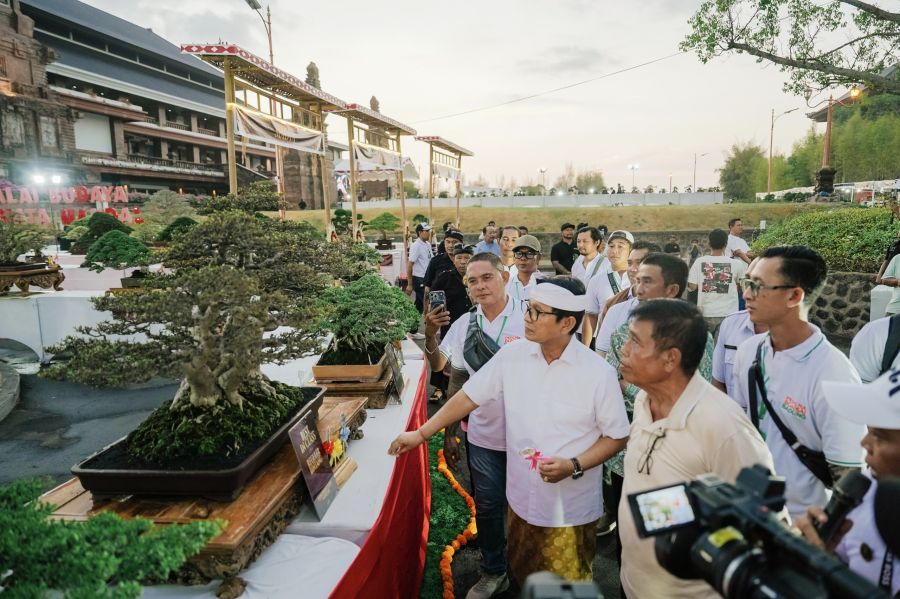 podiumnews.com-Pemkab Badung dan PPBI Sukses Gelar Kontes Bonsai Skala Nasional