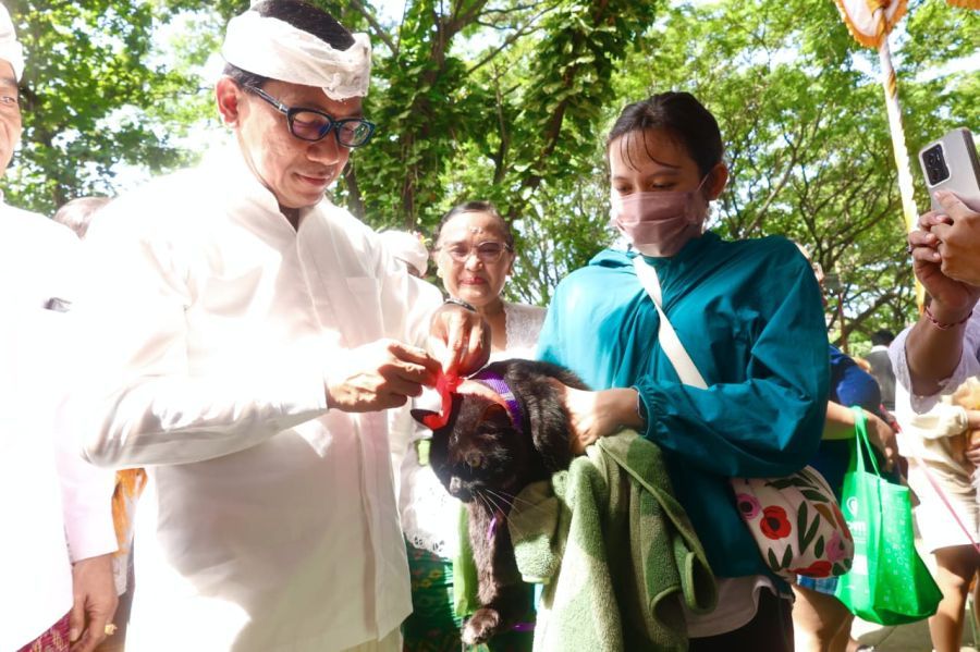 podiumnews.com-Pemkot Denpasar Gelar Vaksinasi Rabies Gratis