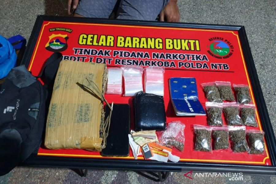 podiumnews.com-Polda NTB Sita Satu Kilogram Ganja Siap Edar