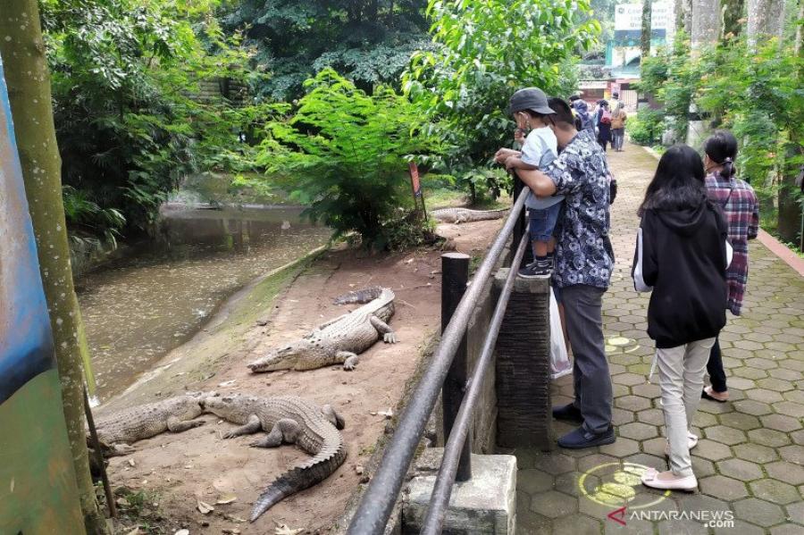 Kebun Binatang Bandung Masih Sepi Hari Pertama AKB