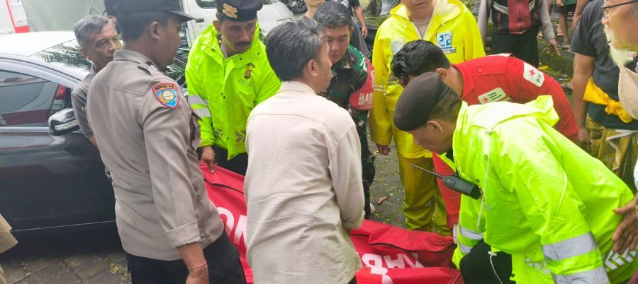 podiumnews.com-Pohon Tumbang di Objek Wisata Sangeh, Satu Tewas