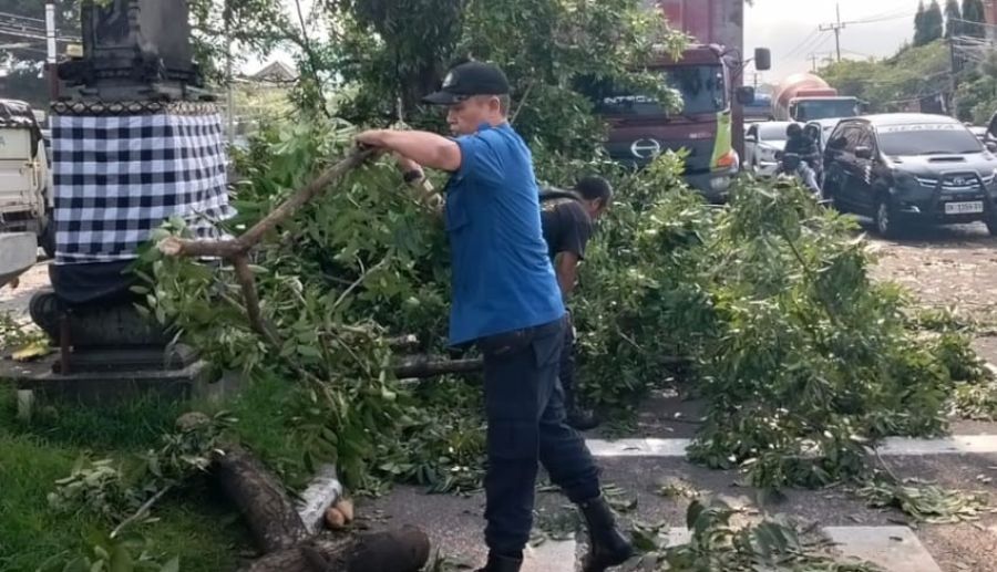 Pohon tumbang terjadi di Jalan Ida Bagus Mantra, tepatnya di traffic light (TL) Biaung, Desa Kesiman Kertalangu, Kecamatan Denpasar Timur, Denpasar, Bali, Selasa (17/2/2026). (foto/hes)