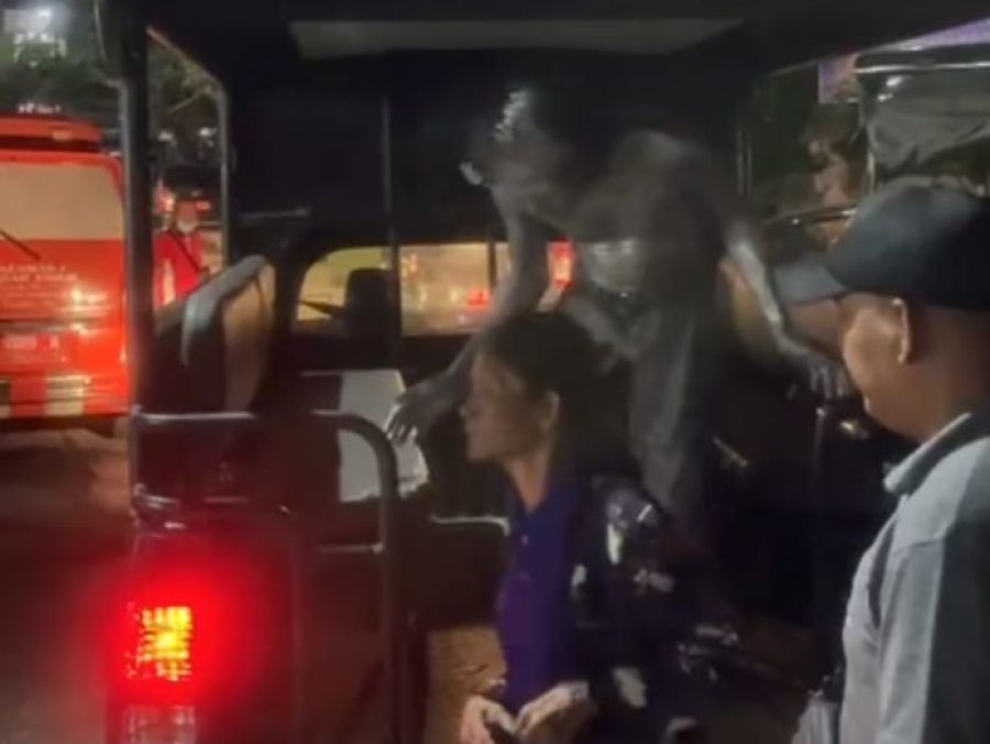 podiumnews.com-SABERGEP Satpol PP Denpasar Sasar Traffic Light Kota