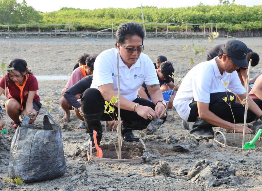 Wakil Gubernur Bali, Nyoman Giri Prasta saat menghadiri kegiatan penanaman mangrove jenis Avicennia marina bersama Ikatan Wartawan Online (IWO) Provinsi Bali di kawasan Taman Hutan Raya (Tahura) Ngurah Rai, Denpasar, Bali, Jumat (23/10/2026). (foto/sukadana)