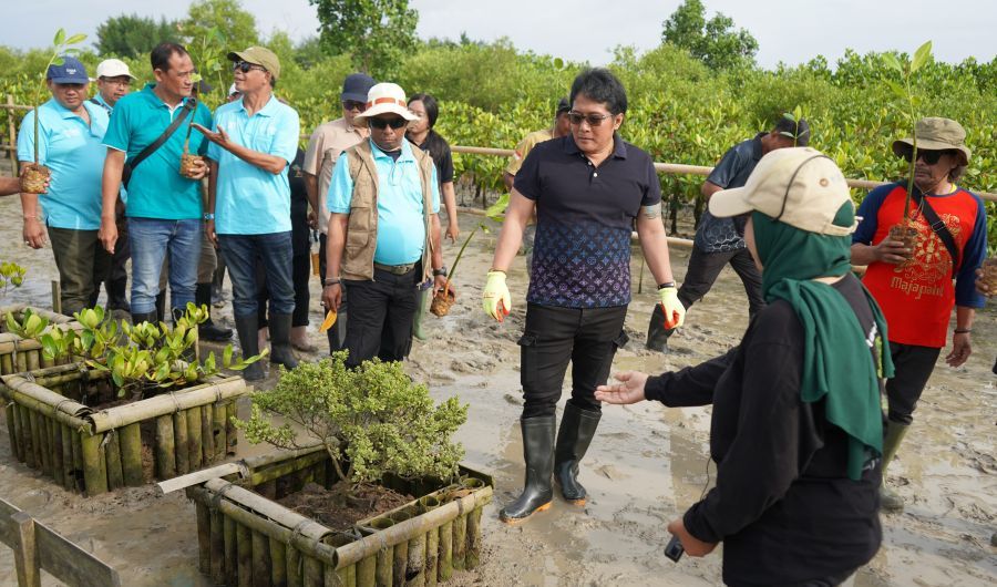podiumnews.com-Wagub Bali Tanam Mangrove, Sadarkan Pentingnya Tahura Menahan Gelombang Laut