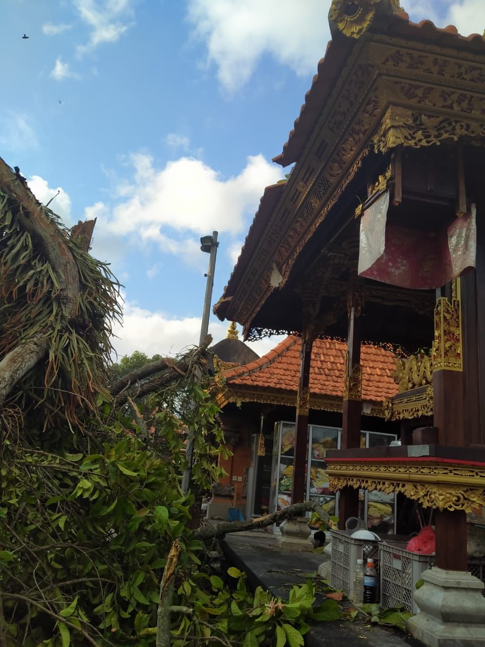 podiumnews.com-Hujan Lebat Robohkan Dahan Pohon Timpa Pelinggih Pura Desa di Abiansemal