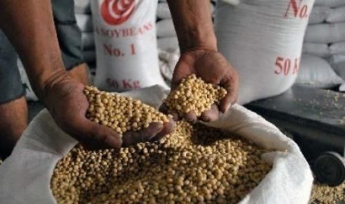 podiumnews.com-Harga Kedelai Impor Naik, Pemerintah Diminta Segera Intervensi