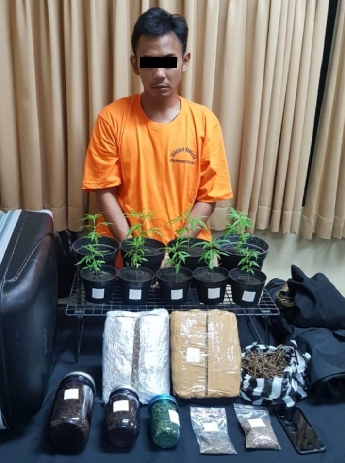 podiumnews.com-PN Denpasa Ganjar 10 Tahun Pria Tanam Ganja dalam Pot 