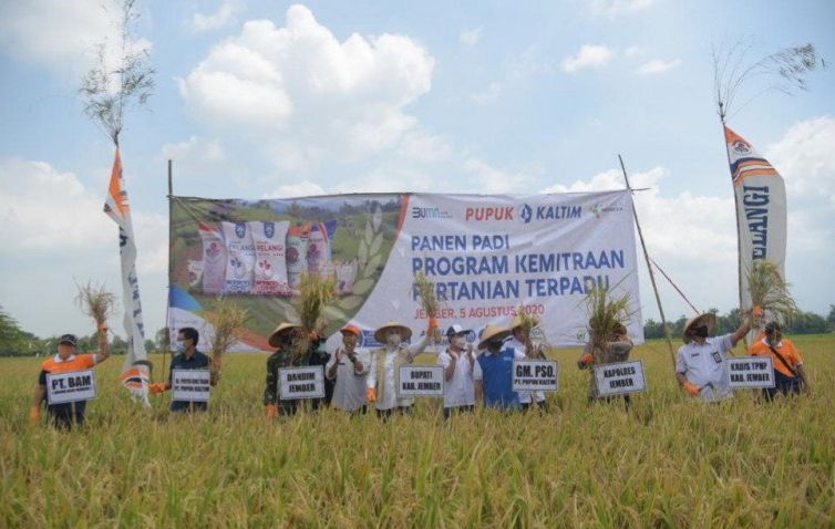 podiumnews.com-Program Kemitraan Tingkatkan Produksi Pertanian di Jember