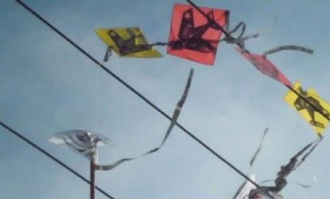 podiumnews.com-PLN: 26 Kali Listrik di Lombok Padam Akibat Layang-layang