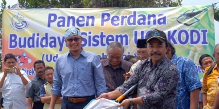 podiumnews.com-Dirjen KKP: Perikanan Budidaya Jadi Ujung Tombak Produksi