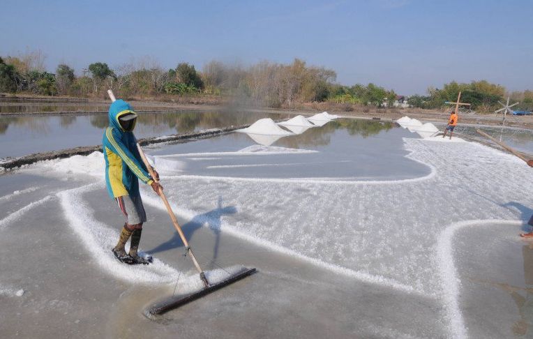 Peningkatan Penyerapan Garam Rakyat, Presiden Gelar Rapat Terbatas