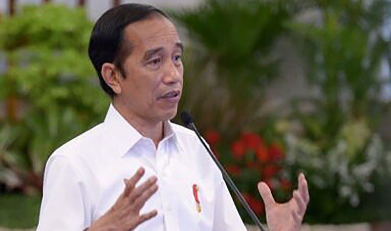 Presiden: Masyarakat Dapat Pendampingan Perhutanan Sosial