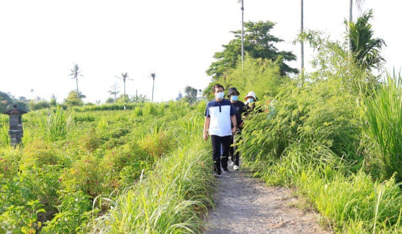 Pemkab Klungkung Matangkan Konsep Desa Wisata Tihingan