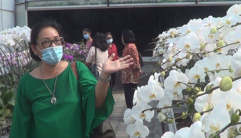 podiumnews.com-300 Jenis Bunga Hiasi Agrowisata Anggrek DOG di Denpasar