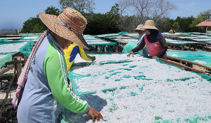 podiumnews.com-Perum Perindo Edukasi Masyarakat tentang Budaya Makan Ikan