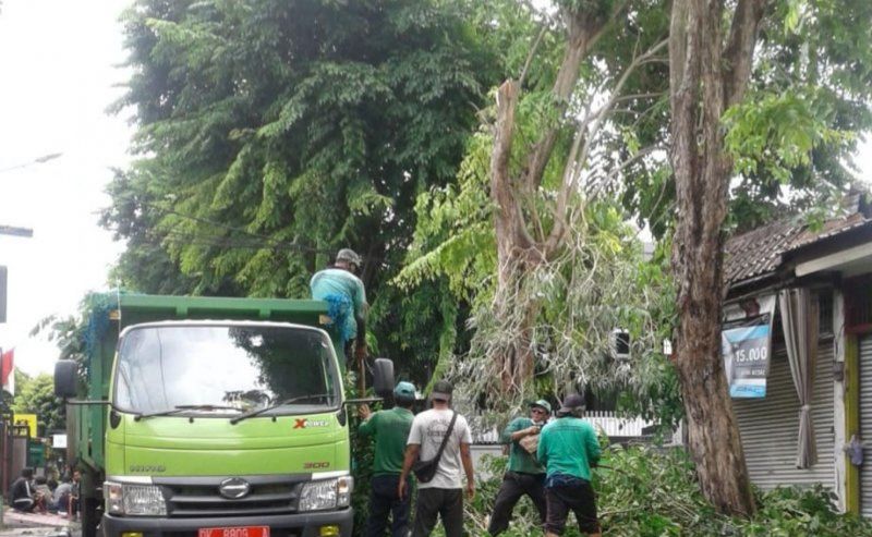 podiumnews.com-Musim Hujan Tiba, DLHK Denpasar Lakukan Antisipasti