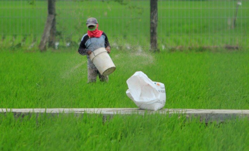 podiumnews.com-Presiden Singgung Subsidi Pupuk Puluhan Tahun Lalu
