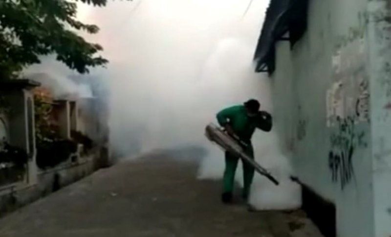 podiumnews.com-Antisipasi DBD, Dinkes Denpasar Lakukan Penyemprotan Serentak