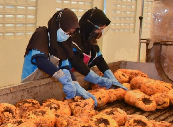 podiumnews.com-Kemenperin-Pemda Revitalisasi Sentra IKM Olahan Porang