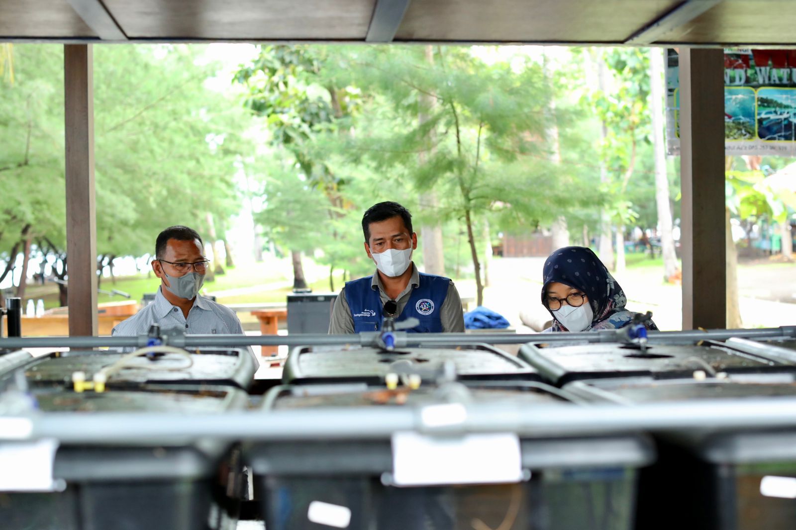 podiumnews.com-Budidaya Lobster Metode Resirkulasi, Sekali Panen Bisa 2 Hingga 3 Kuintal