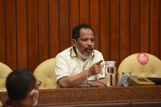 podiumnews.com-Johan Desak Pemerintah Tinjau Ulang Proyek Pembangunan Pulau Komodo