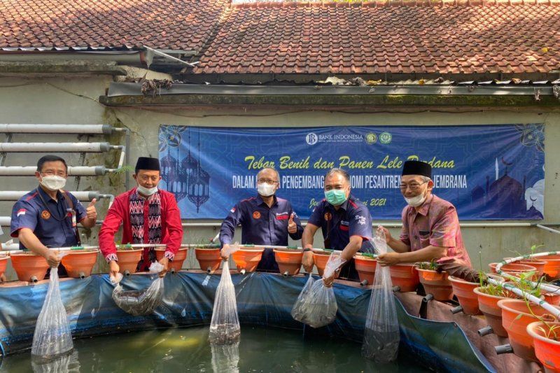 podiumnews.com-BI Bali Dukung Budidaya Lele dan Usaha Roti Pesantren di Jembrana
