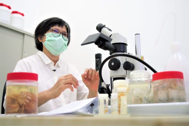 podiumnews.com-27 Spesies Baru Ditemukan dalam Ekspedisi Keanekaragaman Hayati SJADES