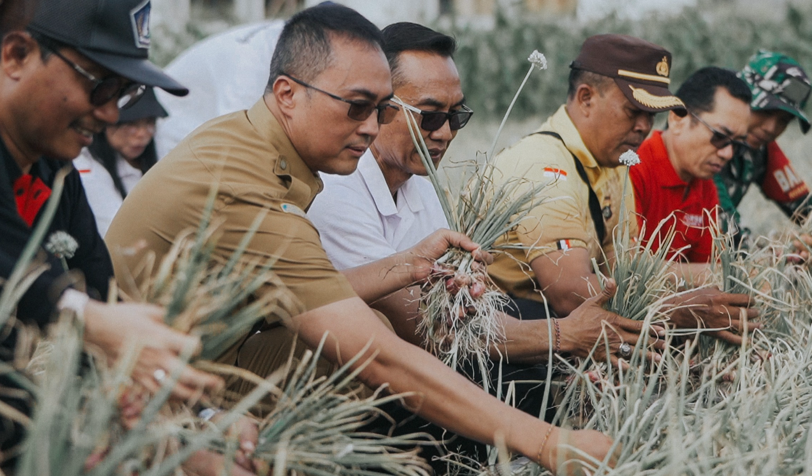 Pj. Sekda Badung Panen Bawang Merah di Subak Delod Sema, Sading