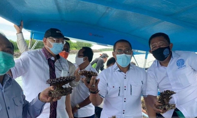 podiumnews.com-Komisi IV DPR Tinjau Lokasi Budidaya Terumbu Karang di Serangan Denpasar